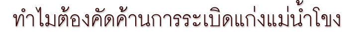 ทำไมต้องคัดค้านการระเบิดแก่งแม่น้ำโขง