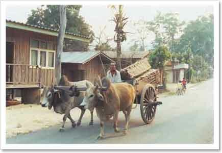 เกวียน